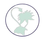 image-removebg-preview